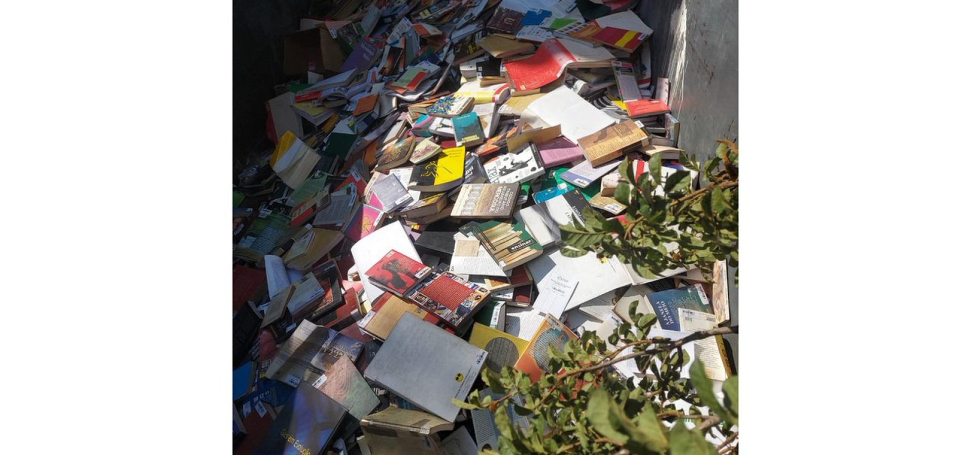 Prefeitura de Osasco joga no lixo livros de biblioteca municipal