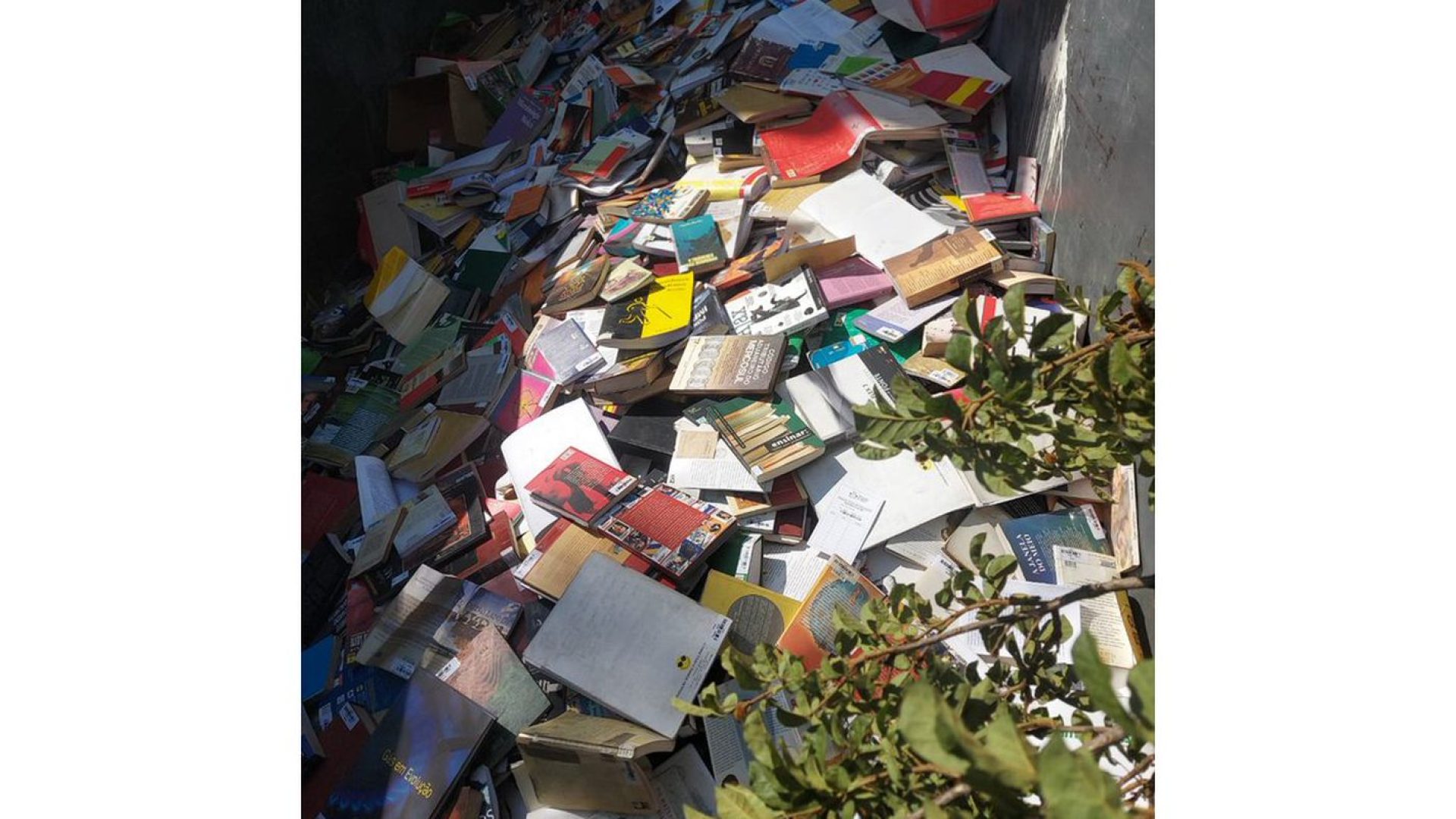 Prefeitura de Osasco joga no lixo livros de biblioteca municipal