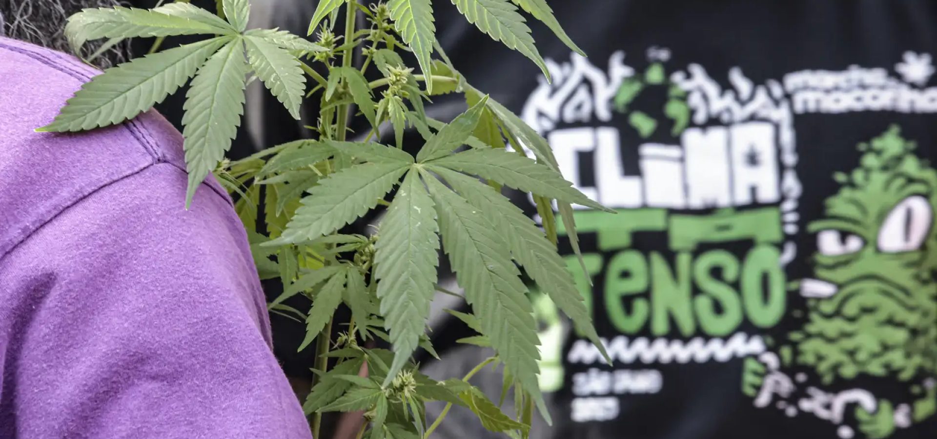 Flagrante por drogas gera mais prisão preventiva do que outros crimes