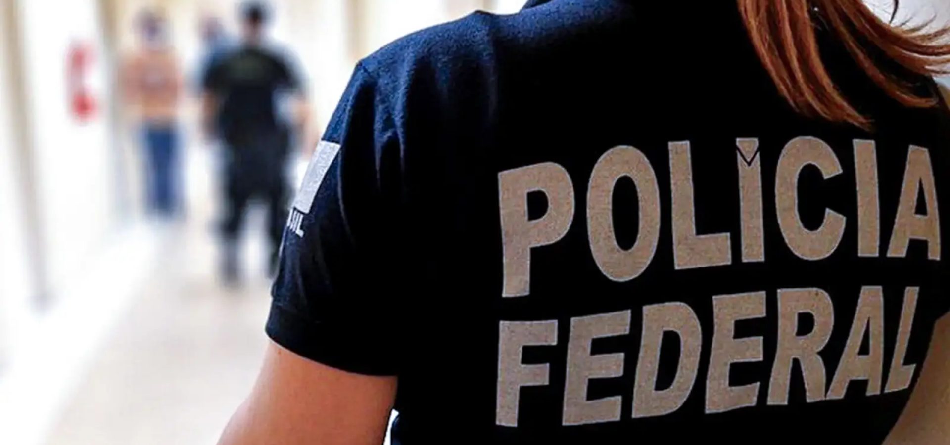 PF faz operação contra fraudes no registro de armas de colecionadores